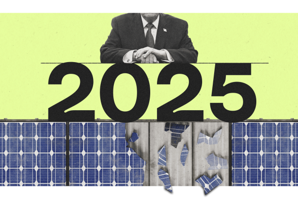 One word sums up climate politics in 2025: Greenlash