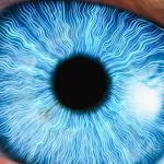 People saw a new colour for the first time in 2025