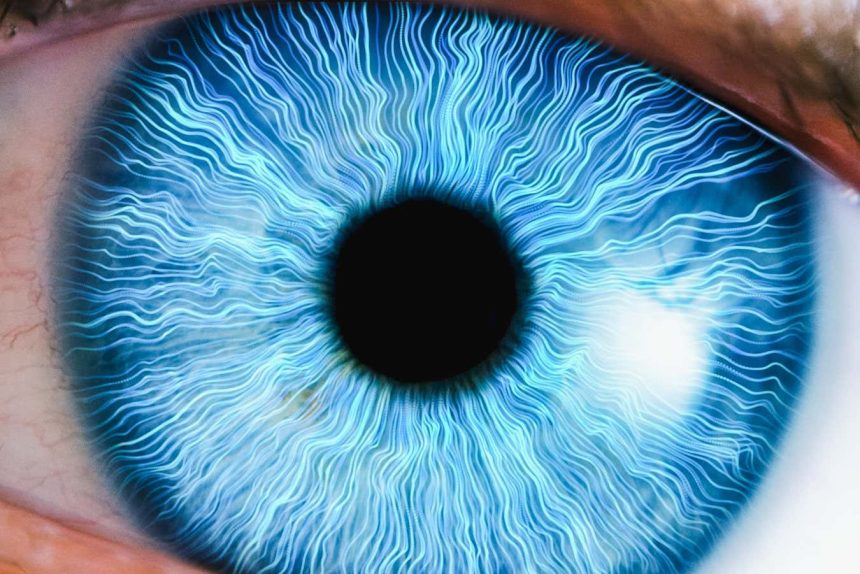 People saw a new colour for the first time in 2025