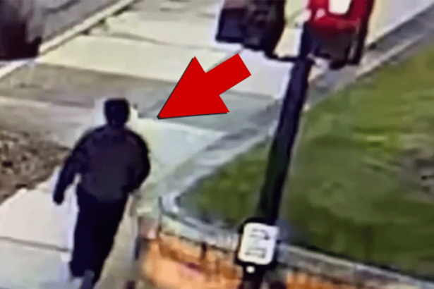 Person of Interest Taken Into Custody in Brown University Mass Shooting