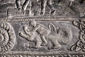 Pet Monkeys Were Popular in Ancient Rome, Burials Reveal