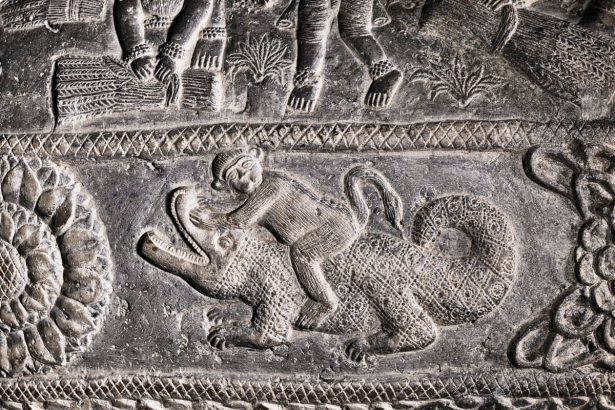 Pet Monkeys Were Popular in Ancient Rome, Burials Reveal