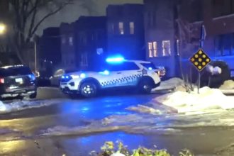 Police fatally shoot driver who dragged cop with stolen vehicle on North Side: CPD