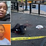 Pre-teen charged with attempted murder in stabbing of boy, 12, inside NYC playground: cops