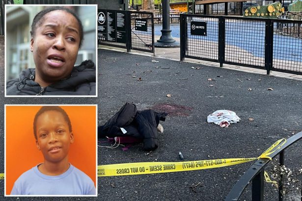 Pre-teen charged with attempted murder in stabbing of boy, 12, inside NYC playground: cops