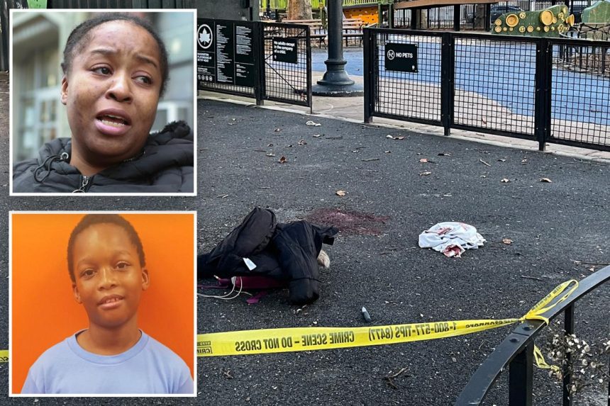 Pre-teen charged with attempted murder in stabbing of boy, 12, inside NYC playground: cops