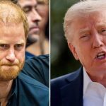 Prince Harry Under Fire For Going to War With Donald Trump