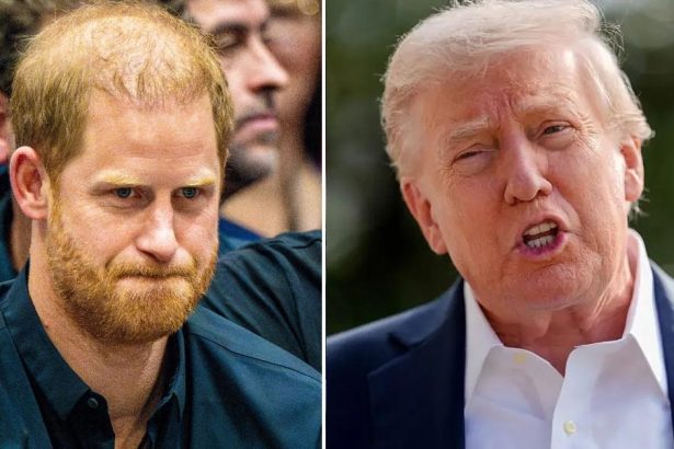 Prince Harry Under Fire For Going to War With Donald Trump