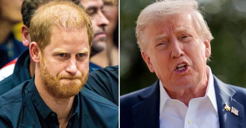 Prince Harry Under Fire For Going to War With Donald Trump