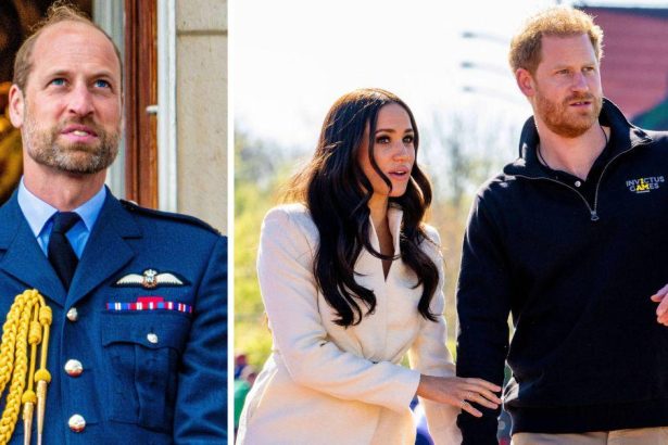 Prince William Won’t Strip Harry & Meghan of Now-‘Worthless’ Titles
