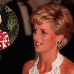 Princess Diana Christmas Ornament Sparked Shopper Backlash