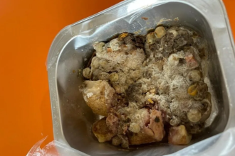 Principal disputes claim rotten lunches already at school