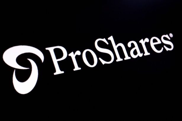 ProShares withdraws some highly leveraged ETF plans after SEC review halt