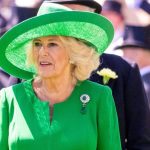 Queen Camilla’s Assault Confession About ‘Fighting Off’ Attacker on Train