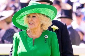 Queen Camilla’s Assault Confession About ‘Fighting Off’ Attacker on Train