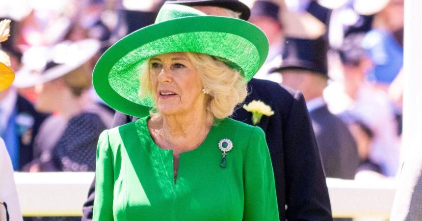 Queen Camilla’s Assault Confession About ‘Fighting Off’ Attacker on Train