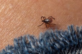 RFK, Jr.–Backed Lyme Disease Conspiracy Theory May Be Probed under New Bill