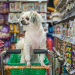 Recycling Mystery: Pet Food Packaging