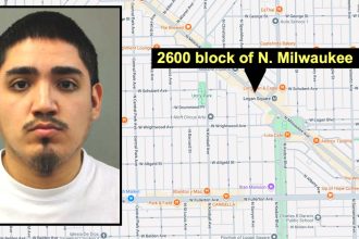 Road rager who beat another driver with baseball bat in Logan Square pleads guilty