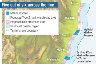 Rock lobster catch set to rise; reserve next steps decided