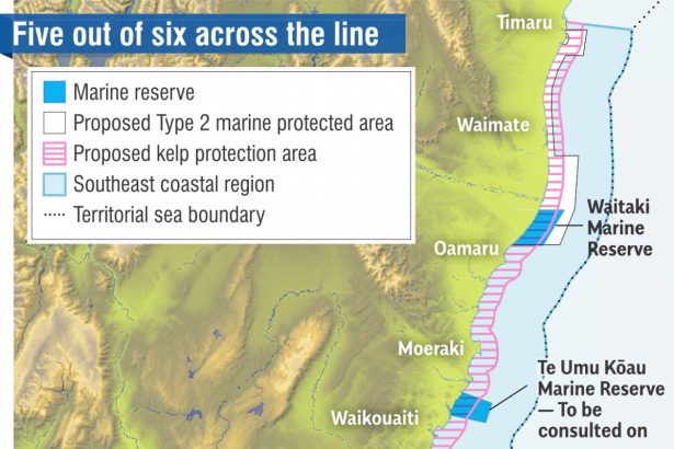 Rock lobster catch set to rise; reserve next steps decided