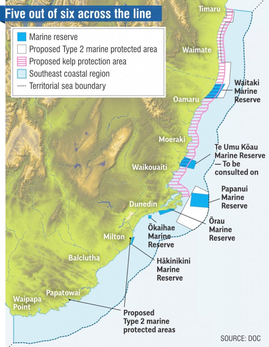Rock lobster catch set to rise; reserve next steps decided
