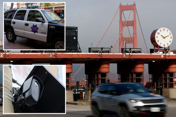 San Francisco’s Flock surveillance cameras targeted by lawsuit
