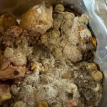 School lunch provider cleared over mouldy meals in Christchurch