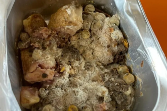 School lunch provider cleared over mouldy meals in Christchurch