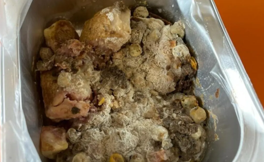 School lunch provider cleared over mouldy meals in Christchurch