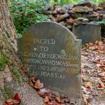 Scientists Analyzed The Obituaries of 38 Million Americans. Here’s What They Found. : ScienceAlert