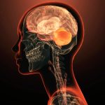 Scientists Discover The First Single Gene to Directly Cause Mental Illness : ScienceAlert