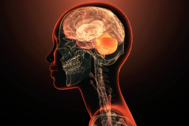 Scientists Discover The First Single Gene to Directly Cause Mental Illness : ScienceAlert