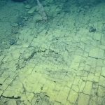 Scientists Found a ‘Yellow Brick Road’ at The Bottom of The Ocean : ScienceAlert