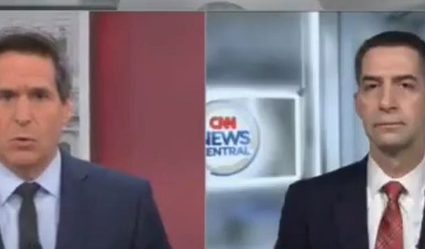 Sen. Tom Cotton Tries To Defend Possible Trump Administration War Crimes And Gets Destroyed