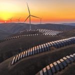 Seven Feel-Good Science Stories to Restore Your Faith in 2025