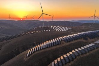 Seven Feel-Good Science Stories to Restore Your Faith in 2025