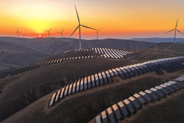 Seven Feel-Good Science Stories to Restore Your Faith in 2025