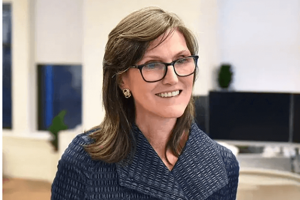 The 3 Best Cathie Wood Stocks to Buy for 2026
