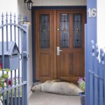 Snoozing sea lion gives St Clair mum a fright