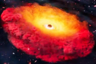 Some of 2025’s scientific discoveries broke records