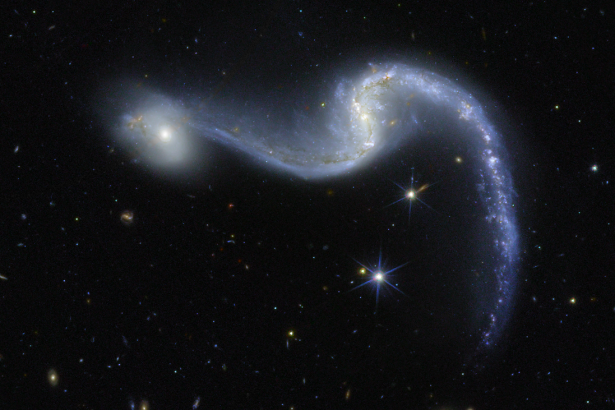 Sparkling Galaxy Merger Shines in New Euclid Space Telescope Image