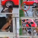 Spineless tourist cowers as young woman fights off armed robber in Colombia, viral video shows