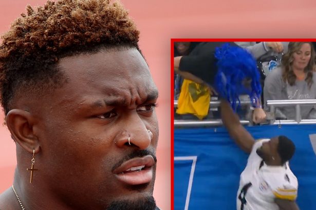 Steelers Wide Receiver DK Metcalf Throws Punch at Fan, on Video