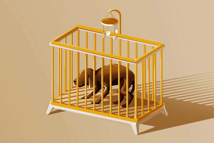 Stop treating your pet like a fur baby – you’re damaging its health