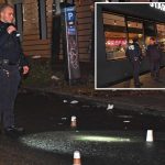 Teen left paralyzed by stray bullet at NYC football game: cops, sources