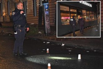 Teen left paralyzed by stray bullet at NYC football game: cops, sources