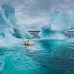 The Arctic Is in Dire Straits, 20 Years of Reporting Show