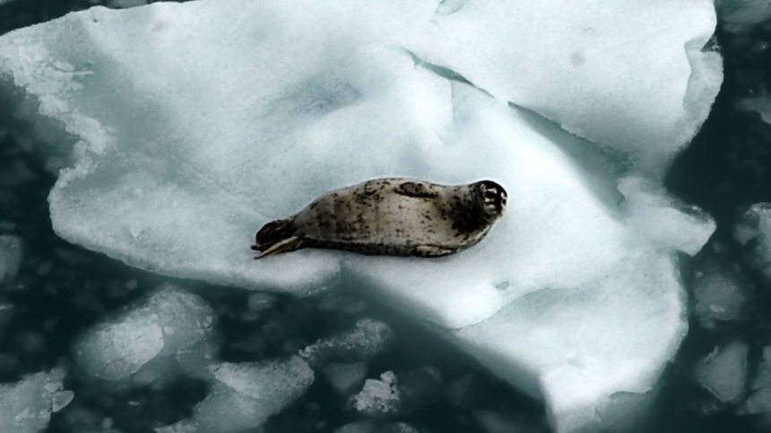 The Arctic Just Sweltered Through Its Hottest Year on Record : ScienceAlert