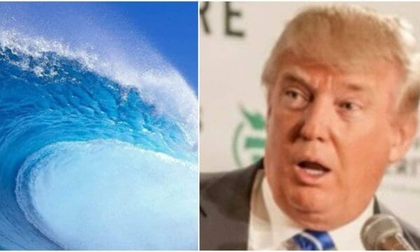 The Blue Wave Is Building And Republicans Can’t Stop It